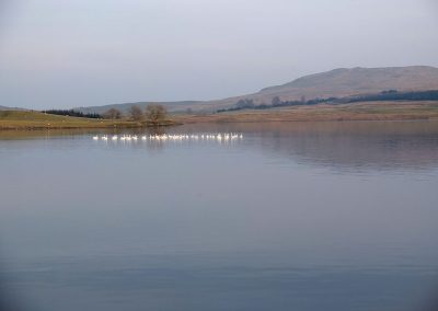 Loch Urr from the west shore looking South East to Craigenvey Moor and Castramon Hill. It is estimated that 4 or 5 turbines (up to 250m) will be visible.