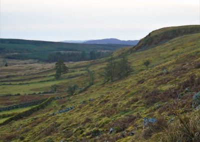 Glaisters Wood looking South West from above Nether Craigenputtock. At least 5 turbines (up to 250m) will be visible in the view shown. The minor road linking Corsock to Dunscore runs through the valley.