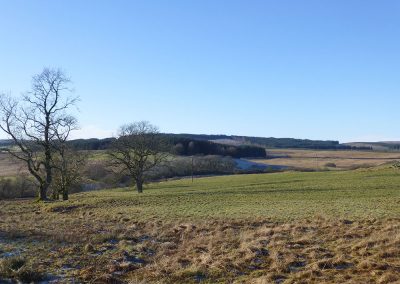 Barmark Hill and Greentop of Drumwhirn, proposed site for several Garcrogo turbines (up to 200m), looking West from Glaisters.