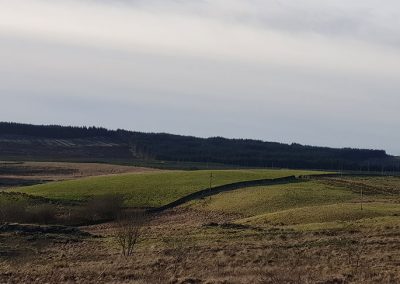 Barmark Hill and Greentop of Drumwhirn looking North West from the minor road near Glaisters. All 9 (up to 200m) turbines will be visible.
