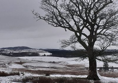 Mochrum Fell looking South West from the minor road near Glaisters. All 7 (149.9m) turbines would be visible on this side of the summit.